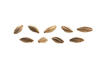 A set of barley malt grains. Isolated on a white background