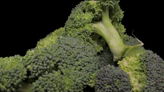 broccoli vegetable rotate 4k