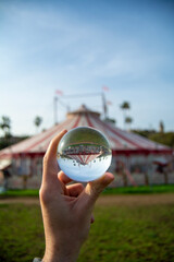 Different point of view from the circus