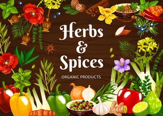 Herbs and spices vector poster with mint, poppy and dill, nutmeg, mustard and vanilla, shallots, ginger and chili with juniper berry. Coriander, saffron and fennel with curry leaves, lime and paprica