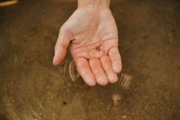 The man found gold. Contemporary lucky prospector found lot of gold in creek when panning sand.