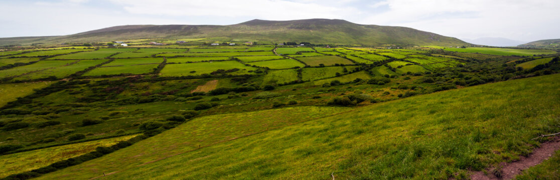 Parcelas de pastos en la Peninsula de Dingle.  Irlanda. Europa.