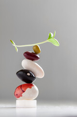 Vegan protein balanced diet with beans and green sprout. Balancing act vegetarian food concept.