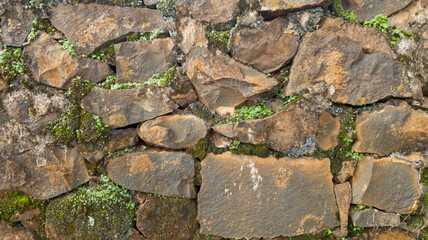 stone wall with moss