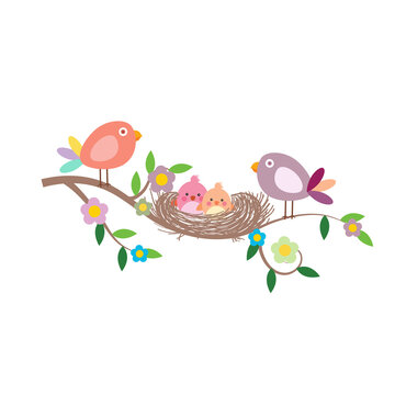birds family illustration banner background graphic design vector card cartoon flower bird cute spring  