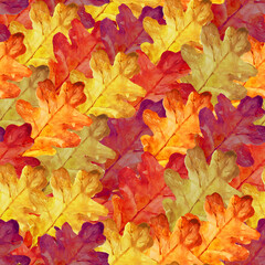 A pattern of bright autumn leaves of oak. Can be used for packaging paper, printing, and more.