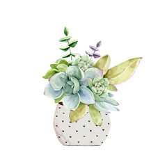 delicate bouquet in a vase with green flowers succulents, watercolor illustration hand painted
