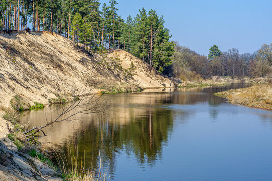Nice view of the Teterev river with pine trees on the bank. Zhytomyr region Ukraine