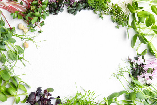 Frame made with different microgreens on white table, flat lay. Space for text