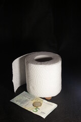 roll of toilet paper