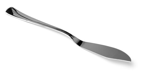 Dining knife for fish isolated on white background