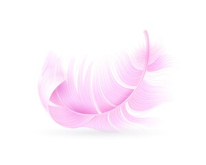 Pink feather. Exotic bird, flamingo or parrot realistic flying fluff, bird soft bright falling twirled plumage, decor element for design vector object isolated on white background