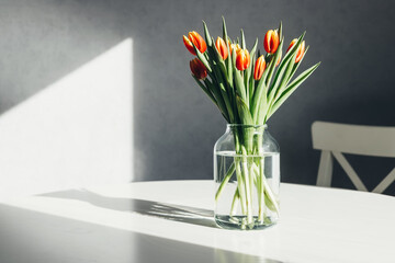 A bouquet of spring red-yellow tulips in a glass vase on a white table. Bright sunlight, harsh...