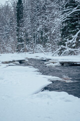 river in the winter forest