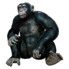Naklejka premium 3D Rendering Chimpanzee on White