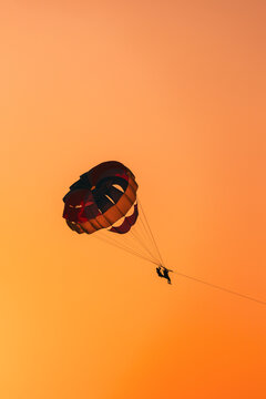 Parasailers Flying On Colorful Parachute In Sunset Sunrise Sky. Active Hobby