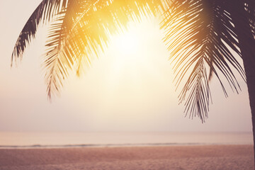 Palm tree at tropical beach on sunset sky abstract background. Summer vacation and nature travel adventure concept.