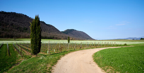 monte orfano