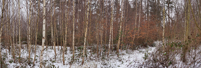 Winterspaziergang bei Bergham