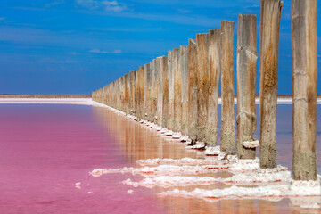 Real pink color salt lake and deep blue sky landscape, Ukraine