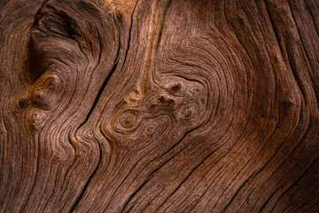 Old wood texture background with natural cracks. Dark brown wood plank is used for background.