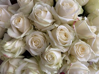 A large bouquet of blossoming flowers, close-up. Background texture: buds of white roses in a vase. Blooming spring flowers.