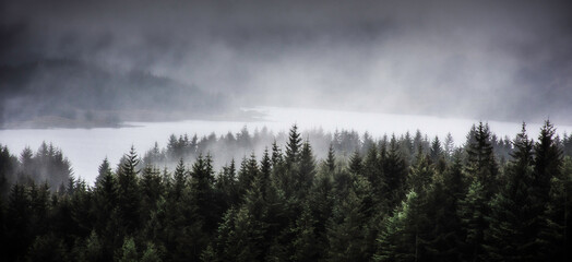Fog rolling over Loch Tulla and coniferous forest in Scottish Highlands.Dark and moody landscape scenery.Scotland on a gloomy day. - obrazy, fototapety, plakaty