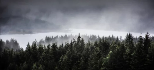 Foto auf Leinwand Fog rolling over Loch Tulla and coniferous forest in Scottish Highlands.Dark and moody landscape scenery.Scotland on a gloomy day. © Jazzlove