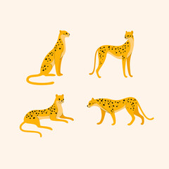 Сheetah icon set. Different type of wild cat. Illustration for prints, clothing, packaging, stickers.