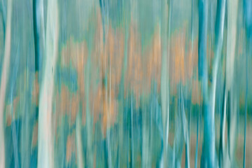 Happy forest. Nature abstract created using intentional camera movement technique. Motion blur.Fine art ICM image perfect for print, wallpaper or background.