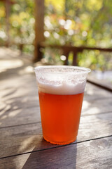 紅葉ビールと木漏れ日(2)
