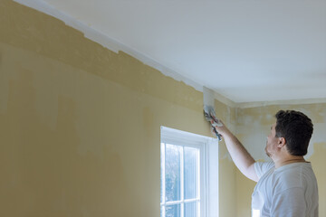 Fototapeta na wymiar Plastering wall coating putty plaster on the wall