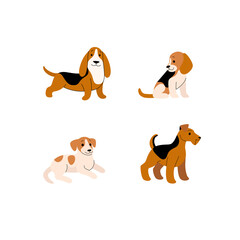 Different breeds of dogs - beagle, basset hound, jack russell terrier, welsh terrier. Cartoon illustration.