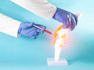 The doctor injects the patient's blood plasma into the knee joint to reduce swelling and pain in the knee. Knee joint treatment concept with plasmotherapy