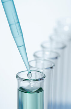 Pipetting. A precision micropipette is used to transfer a small amount of liquid to a test tube. Pipettes are commonly used in chemical and biological laboratory research