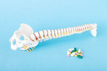 A mock up of the spine on a blue background and next to a handful of pills. Concept of analgesic anti-inflammatory tablets myolexants for back pain. Copy space for text