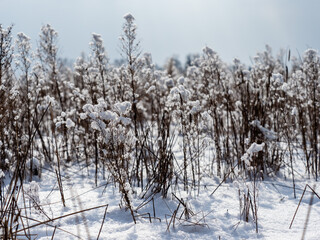Winterlandschaft