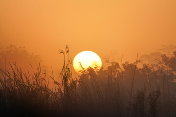 Everglades National Park - Sunrise