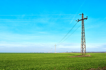 Electricity pylon in green wheat grass field