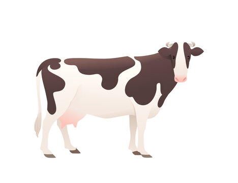 Dairy cattle ayrshire cow spotted domestic mammal animal cartoon design vector illustration on white background