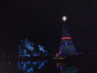 Arvore de natal no Parque do Ibirapuera, São Paulo, Brasil