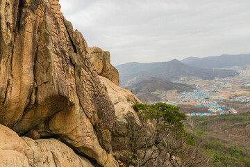 불곡산 악어바위
