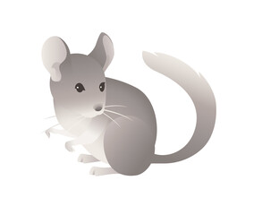Little grey chinchilla cute fluffy pet cartoon animal design vector illustration isolated on white background