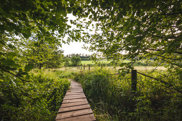 Obraz premium Der Steg