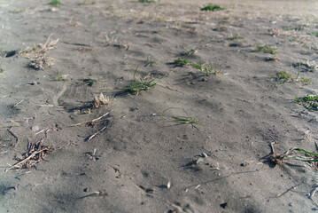 砂\sand