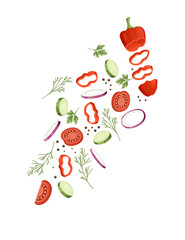 Sliced vegetables with tomato cucumber and herbs colored food icons for cooking vector illustration isolated on white background