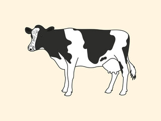 Realistic drawn cow on a light background