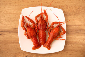 Three red boiled crayfish on a white square plate on wooden table.