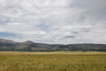 New Mexico, Caldera Valles.
Panoramic view of meadow at Valles Caldera near Los Alamos, New Mexico.