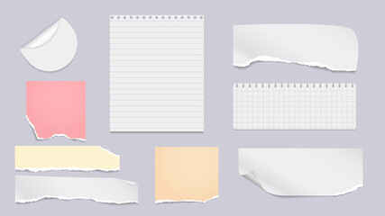 Set of torn white lined, colorful note, notebook paper pieces stuck on light grey background. Vector illustration